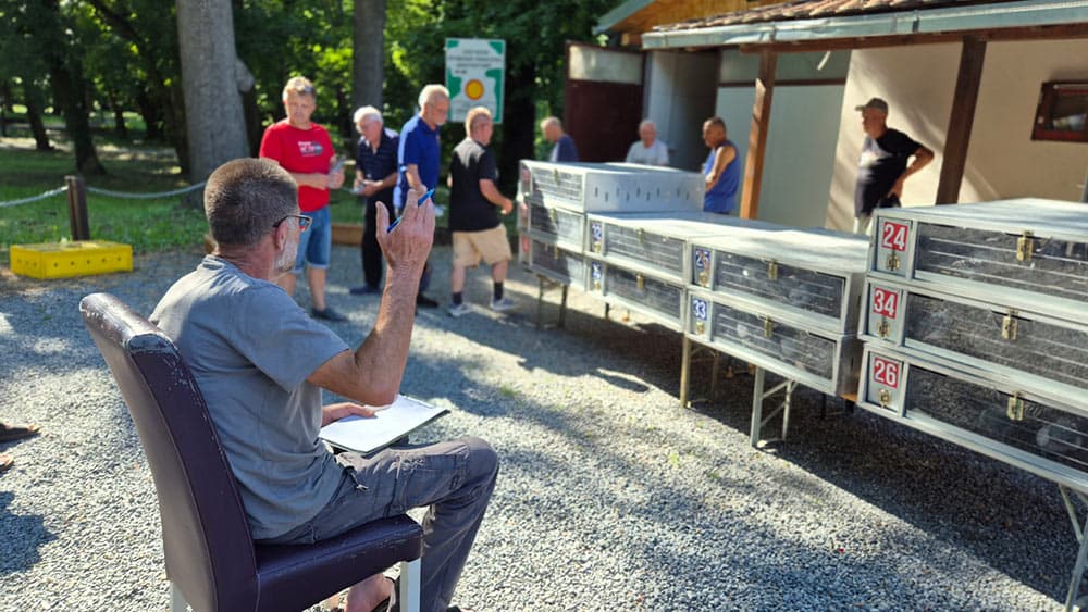Športski klub uzgajivača golubova listonoša “Templar” Našice uspješno organizirao Antunovski let