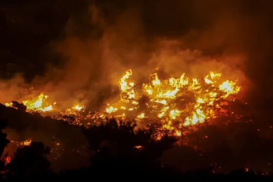 Požar kod Dubrovnika pod kontrolom: Vatrogasni zapovjednik otkrio kolika je šteta