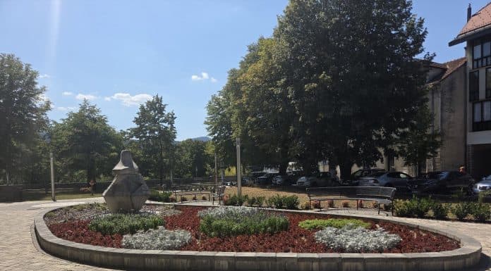 Golubica na Zrinskom trgu