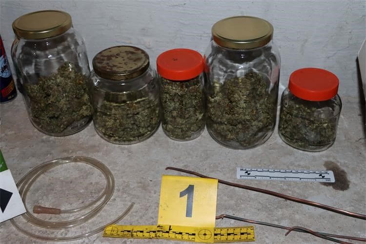 Pretres kod Požege: Zaplijenjena marihuana i oprema za uzgoj cannabisa