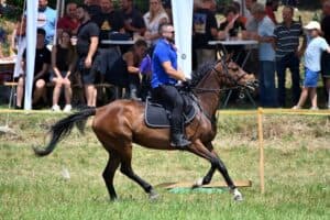 Lijepom fotkom u novi dan