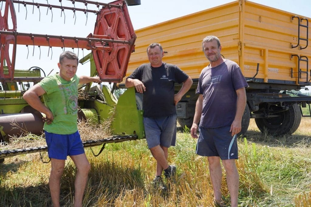 Iščekivanje žetve na “tropskoj klimi”: Dalibor i Božidar spremni!