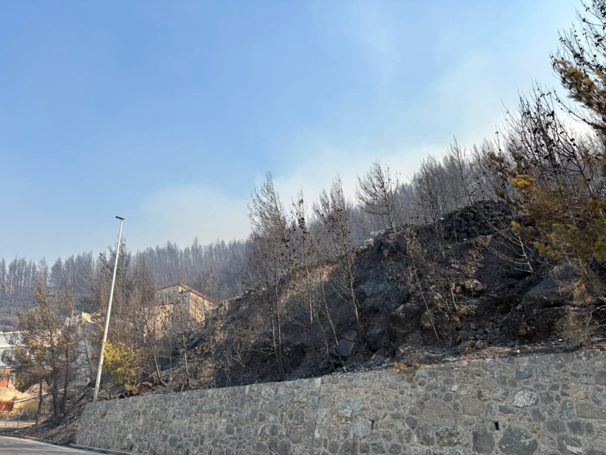Tucaković: Situacija je stabilna - svi požari su pod kontrolom vatrogasaca