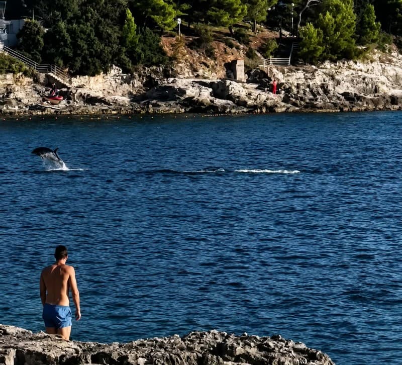 Tune oduševile kupače na Zlatnim stijenama