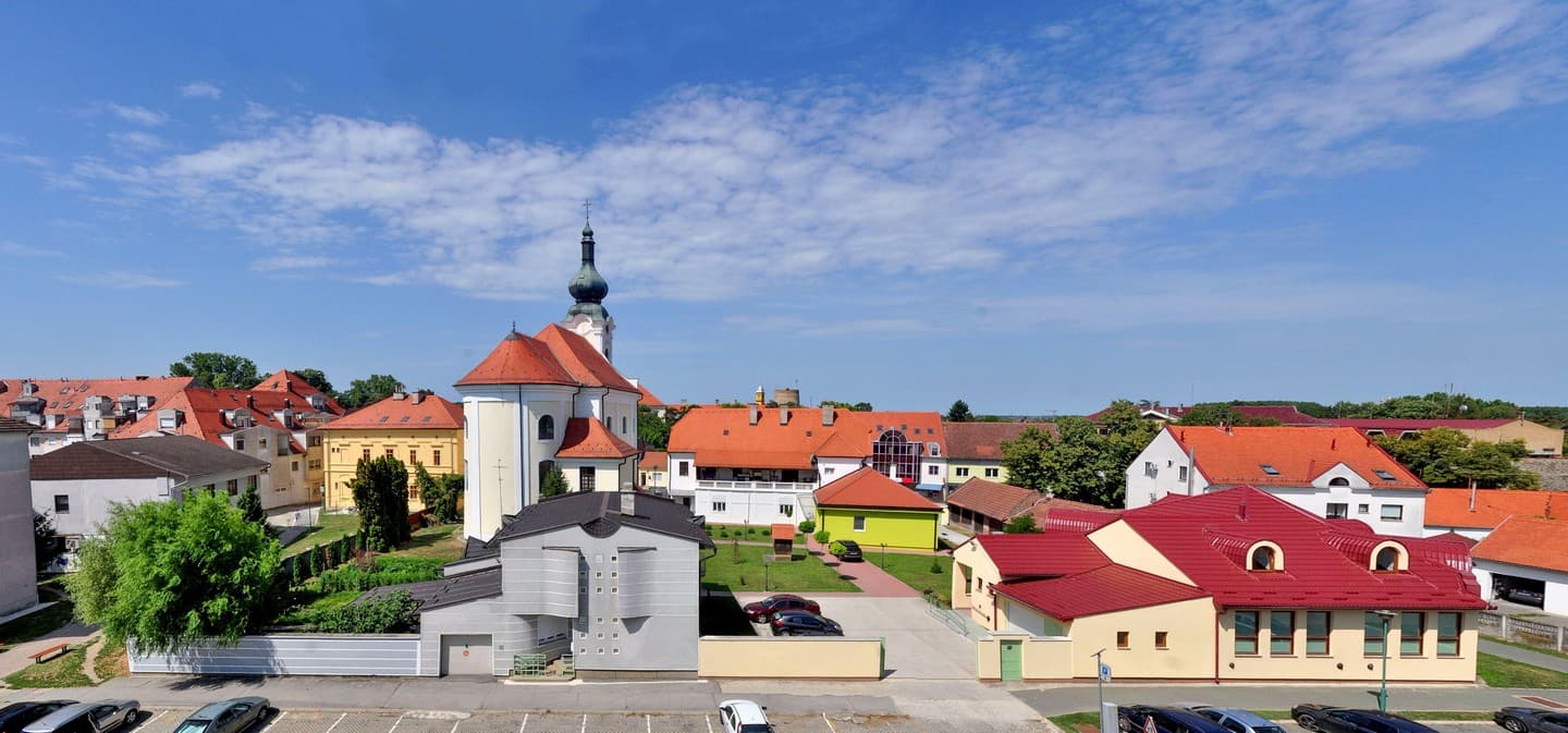 U SATNICI: Mlada misa vlč. Karla Striškovića