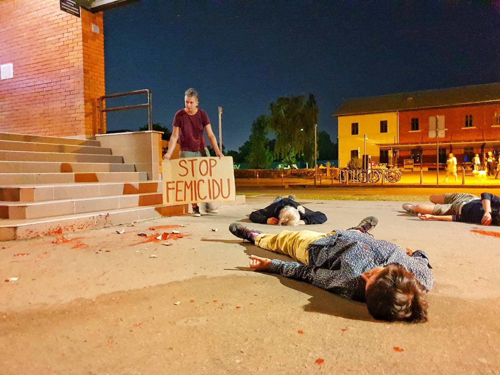 Tri godine Udruge Adela: i dalje pratimo slučaj Mihaele Berak